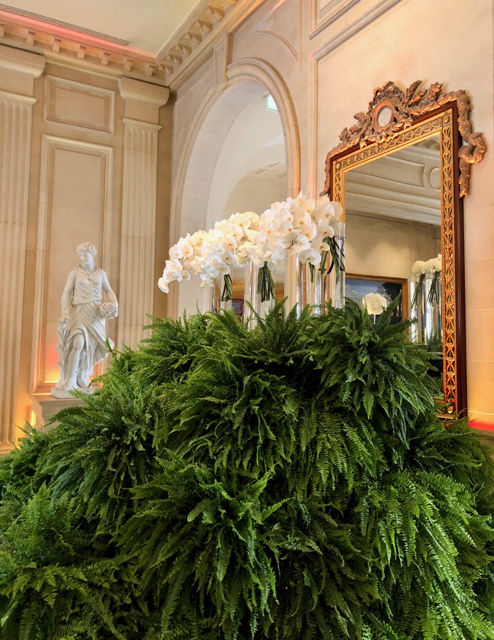 Classy colibri at the Four Seasons Hotel George V Paris, flower creations by Jeff Leatham