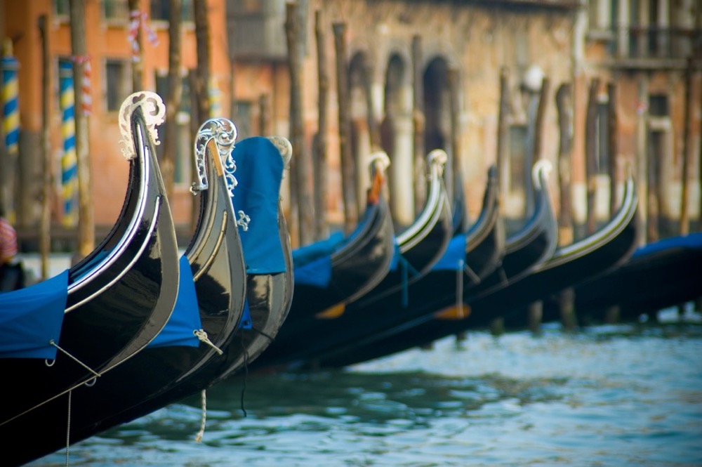 Classy colibri on René Caovilla Venice Venezia